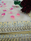 Corn Silk Organza Saree with Sequin and thread work