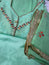 Unstitched Suit Material- 456 Green