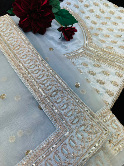 Light Blue Organza Saree with Sequin work