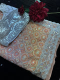 Peach Georgette Saree with full Sequin work with Stitched Blouse