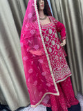 Party wear Sharara suit in Magenta Color --PSH1021M